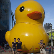inflatable duck pool